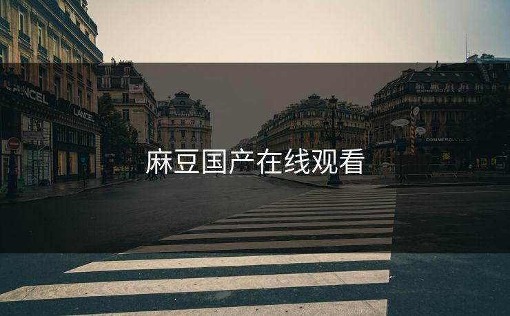 麻豆国产在线观看
