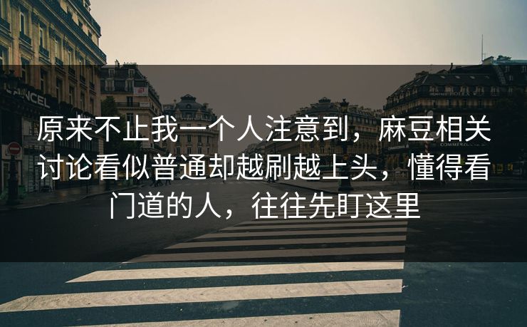 原来不止我一个人注意到，麻豆相关讨论看似普通却越刷越上头，懂得看门道的人，往往先盯这里