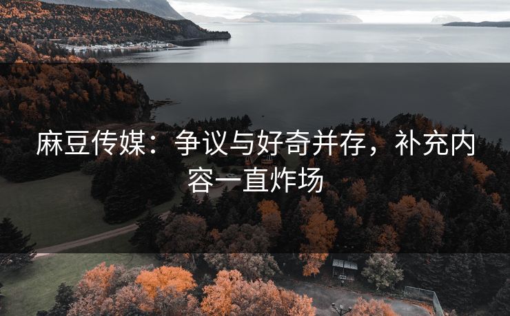 麻豆传媒:争议与好奇并存,补充内容一直炸场 麻豆传媒:争议与好奇并存,补充内容一直炸场