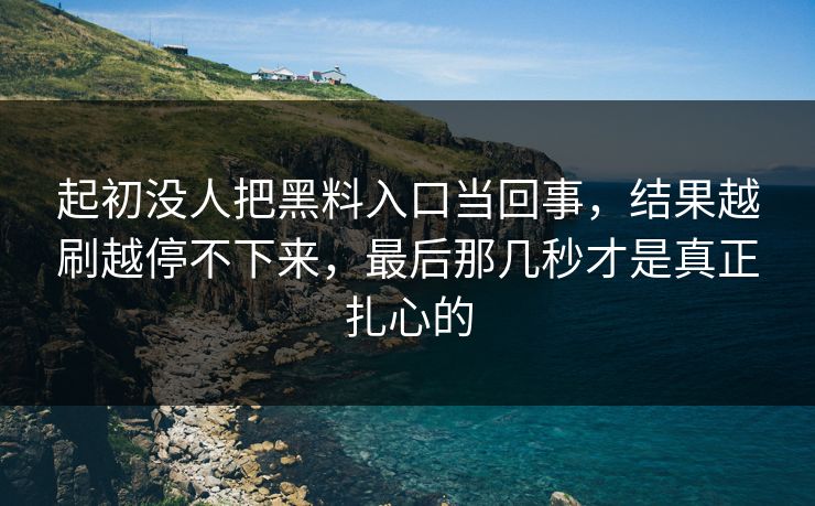 起初没人把黑料入口当回事，结果越刷越停不下来，最后那几秒才是真正扎心的
