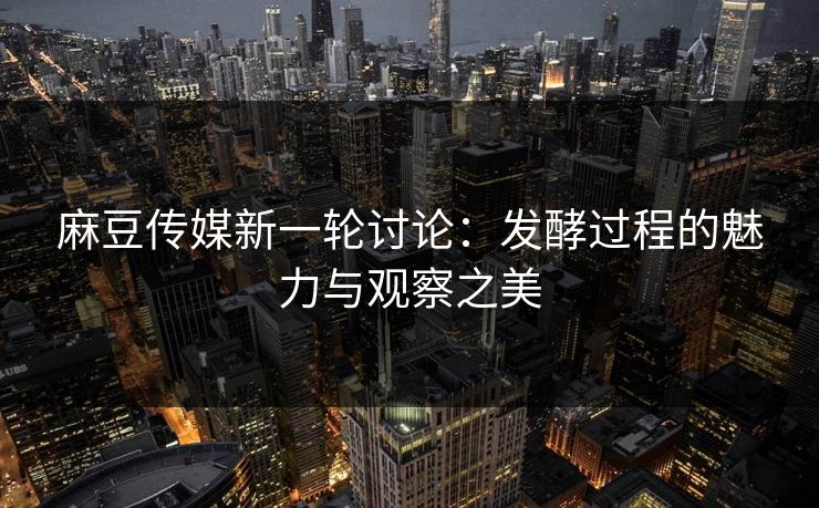 麻豆传媒新一轮讨论：发酵过程的魅力与观察之美
